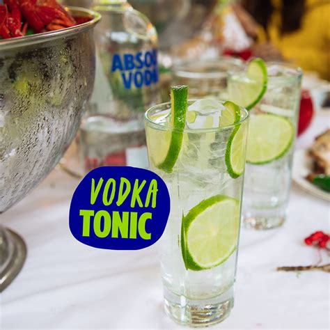 Vodka Tonic Recipe Absolut Drinks