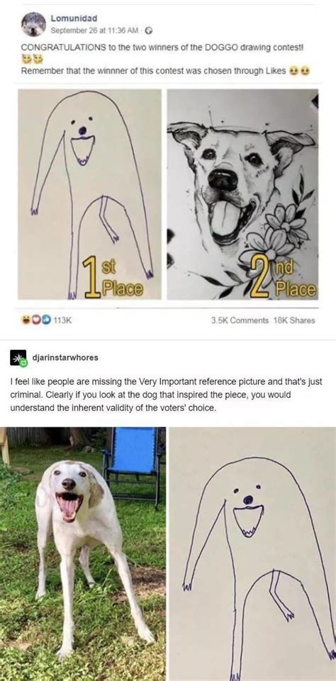Winner Of Doggo Drawing Contest Won On Likes 9gag