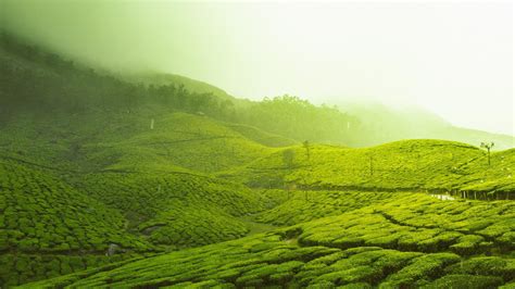 Munnar Wallpapers Wallpaper Cave