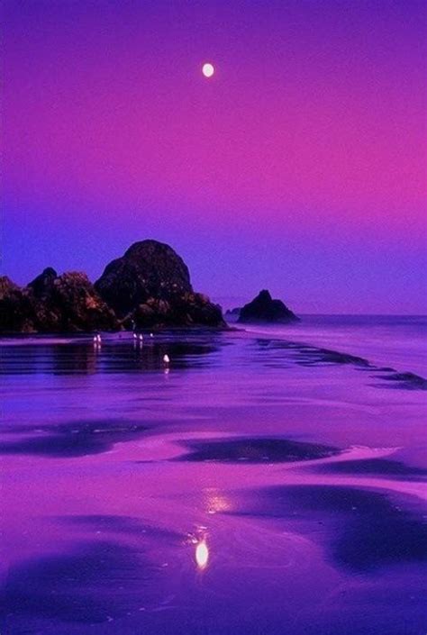 Lovely Purples Beautiful Places Beautiful Landscapes Nature