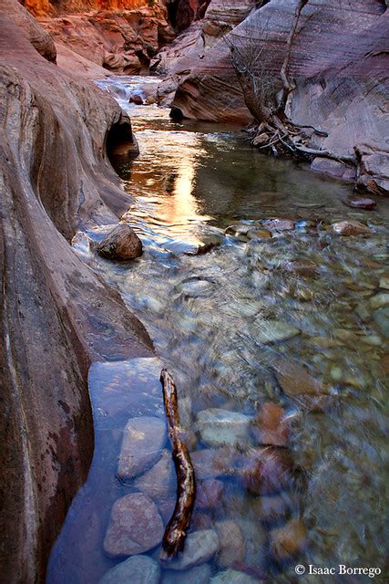 Echo Canyon Stream Zion National Park Utah Echo Canyon Flickr