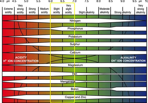 How Soil Tests Can Help With Tree Selection Arbor Rangers