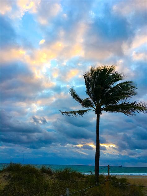 Pin By Tracy Wilson On Beach Sunrise Sunset And Palm Trees Sunrise