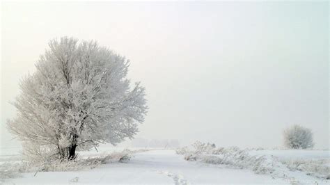 White Landscape Wallpapers Top Free White Landscape Backgrounds