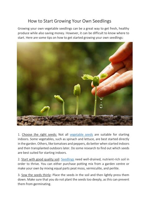 How To Start Growing Your Own Seedlings By Kavungal Issuu