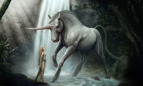 Fantasy Unicorn Hd Wallpaper