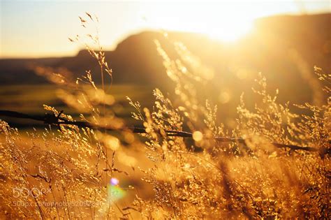 Photograph Golden Hour By Trynidada On 500px