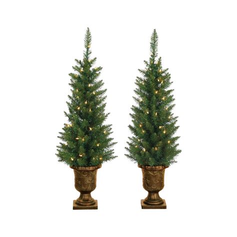 Sterling 35 Ft Indoor Pre Lit Potted Norway Pine Artificial Christmas