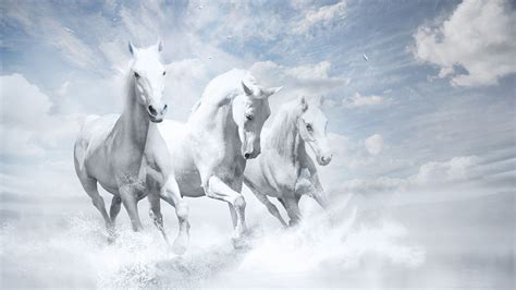 1366x768 White Horses Hd 1366x768 Resolution Hd 4k