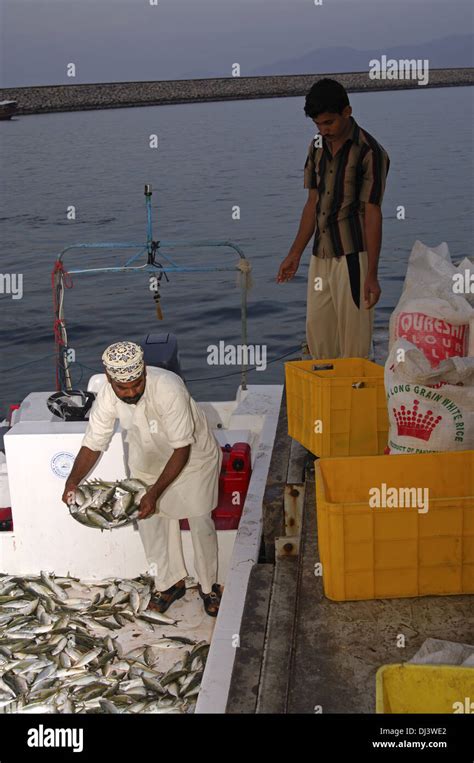 Fisherman Sorting His Catch Stock Photo Alamy