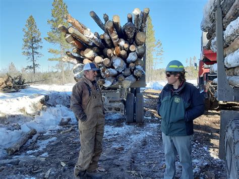 Wood For Life Program Pilot Program Kicks Off National Forest Foundation