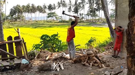 Traditional Wood Chopping Pagsisibak Ng Kahoy Free Stock Footage No