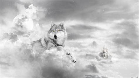 White Wolf Desktop Wallpapers Top Free White Wolf Desktop Backgrounds Wallpaperaccess