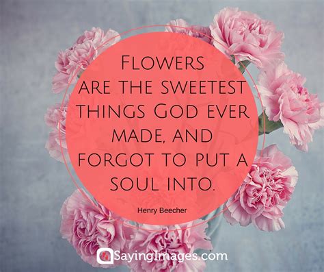 Contents 121 cute love flower quotes 162 beautiful flowers images with quotes 35 Beautiful Flower Quotes To Celebrate Life, Hope, And ...
