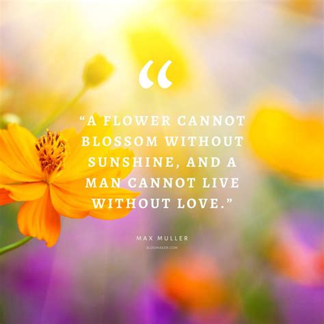 Cute Flower Quotes Best Of Forever Quotes