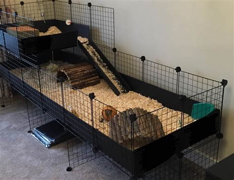 Gallery C And C Guinea Pig Cages
