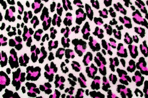 Pink And Black Leopard Pattern Stock Illustration Illustration Of