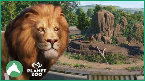 West African Lion Habitat Elm Hill City Zoo Planet Zoo Youtube