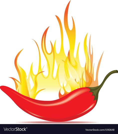 Hot Chilli Pepper In Energy Fire Royalty Free Vector Image Aff