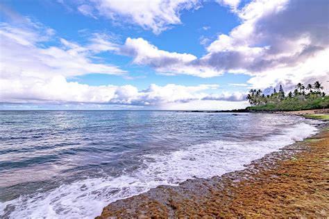 Laniakea Beach On The North Shore Oahu Hawaii Photograph By Alex