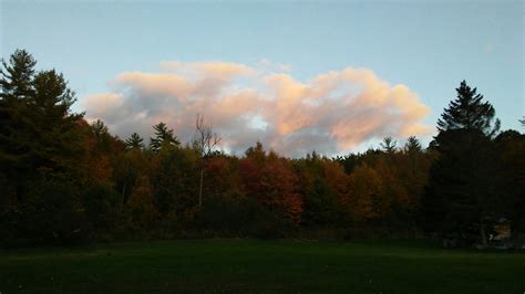 A Baby Blue Sky Behind A Warm Pastel Cloud Behind A Forest Of Mixed