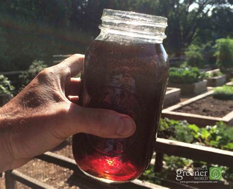 Liquid Worm Juice Superfood For Organic Gardens Growing A Greener World