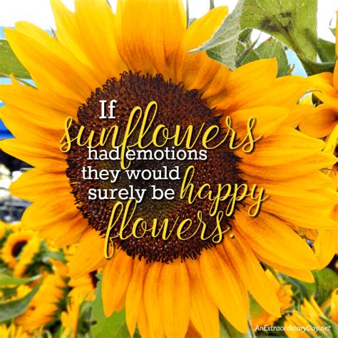Why Do We See Happiness In A Cheery Sunflower Joyday An