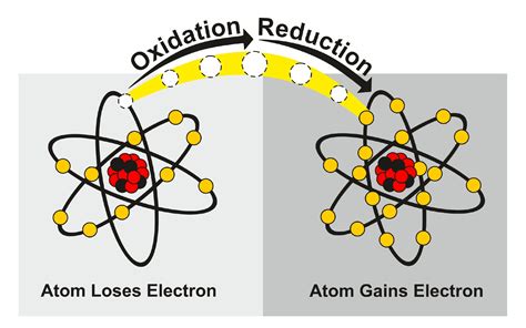 Class 11 Redox Reactions Examples And Ncert Notes Leverage Edu