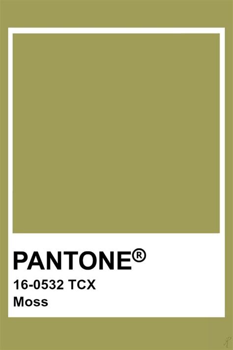 Moss Green Color Combination There Are 27 Colour Combinations With
