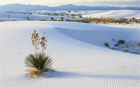 White Sands Wallpapers And Images Wallpapers Pictures Photos