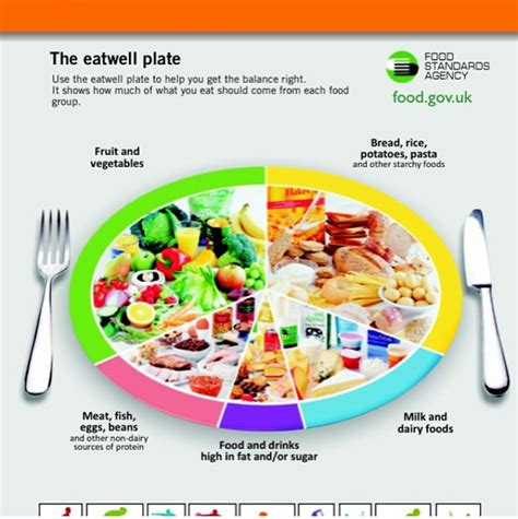 The Eatwell Plate Juiceline