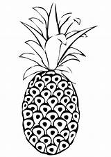 Pineapple Coloring Parentune Printable Fruits Whitesbelfast Spanish Credit sketch template