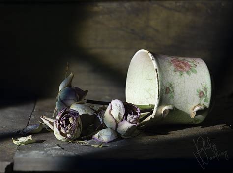 Contemporary Still Life Philip Woolway Creative Fine Art Photography