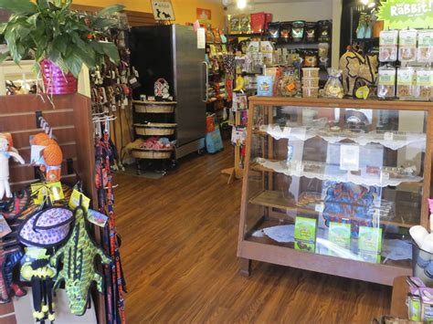 Pet Stores In Chicago For Dog Leashes Cat Collars And More