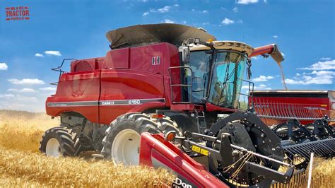 Case Ih 6150 Axial Flow Combine Harvesting Wheat Youtube
