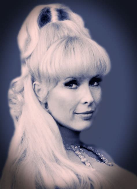 Barbara Eden Old Hollywood Glamour Golden Age Of Hollywood Hollywood