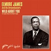 ELMORE JAMES / Wild About You - The Complete Meteor/Flair/Modern ...