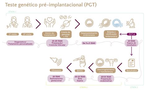 Desvantagens Do Processo Reprodutivo Em Relação Ao Processo Evolutivo