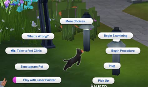 Sims 4 How To Give Dog Age Up Treat