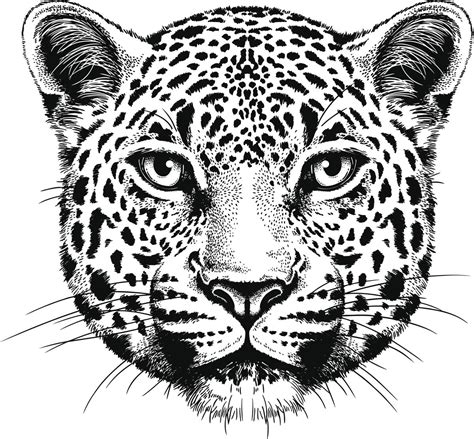 Leopard Tattoo Designs Home Design Ideas