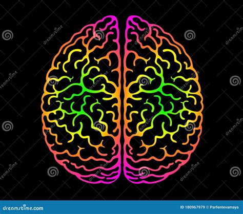 Human Brain Bright Colors Black Background Cerebral Hemispheres