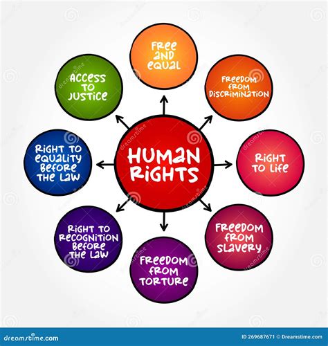 Los Derechos Humanos Son Principios O Normas Morales Para Ciertas Normas De Comportamiento