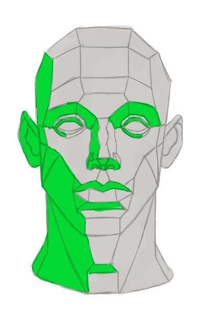 Face Anatomy Human Anatomy Drawing Gesture Drawing Drawing The Human