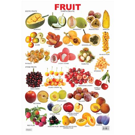 Educational Charts Series Fruit Chart 6 Dreamland