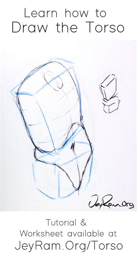 How To Draw The Torso Step By Step Tutorial Torso Sketch Book Nose