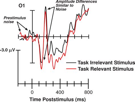 Figure 1 From Use Of Event Related Potentials Erps In Studies Of