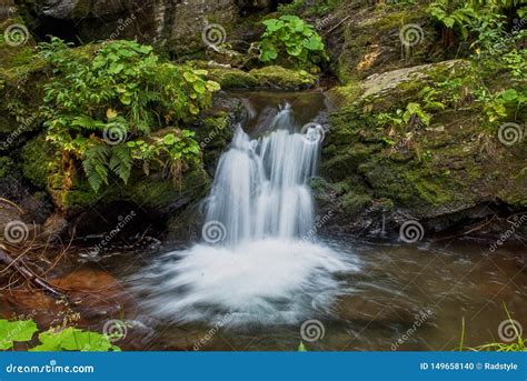 Small Cascading Waterfall In Lush Forest Stock Photo Image Of Pretty