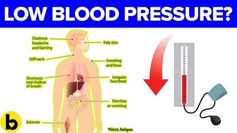 What Causes Low Blood Pressure What Causes Low Blood Pressure Free