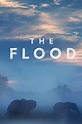 Watch The Flood Online | Season 1 (2018) | TV Guide