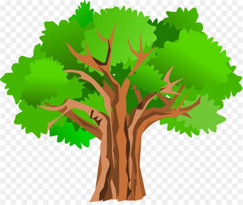Free Oak Tree Clipart Download Free Oak Tree Clipart Png Images Free